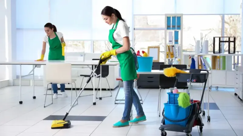 Stains On Your Carpets? How To Find The Right Cleaning Service